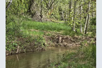 2262 Louis Creek Rd, Myrtle Creek, OR 97457 - Photo 10