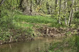 2262 Louis Creek Rd, Myrtle Creek, OR 97457 - Photo 10