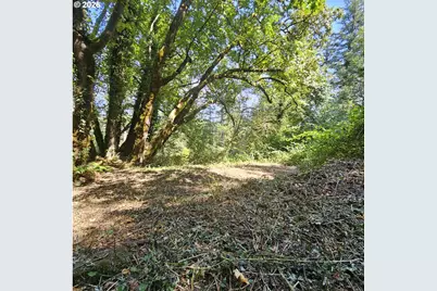0 Washougal River Rd #103, Washougal, WA 98671 - Photo 4