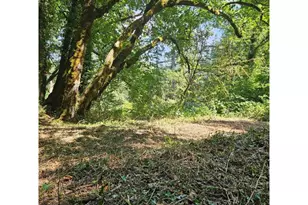 0 Washougal River Rd, Washougal, WA 98671 - Photo 1