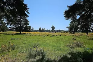 43460 Nicholson Dr, Port Orford, OR 97465 - Photo 4