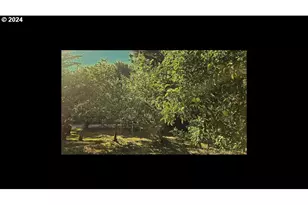 43460 Nicholson Dr, Port Orford, OR 97465 - Photo 14