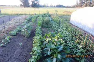 29474 S Hwy 170, Canby, OR 97013 - Photo 34