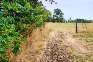 29474 S Hwy 170, Canby, OR 97013 - Photo 30