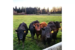 29474 S Hwy 170, Canby, OR 97013 - Photo 28