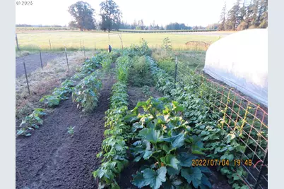 29474 S Highway 170, Canby, OR 97013 - Photo 34