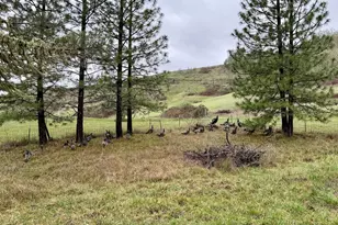 188 Robin St, Roseburg, OR 97470 - Photo 16