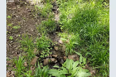 1550 NW Emperor Dr, Corvallis, OR 97330 - Photo 30