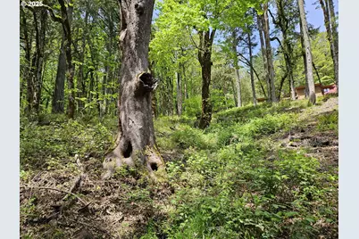 1550 NW Emperor Dr, Corvallis, OR 97330 - Photo 28