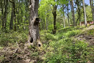 1550 NW Emperor Dr, Corvallis, OR 97330 - Photo 28