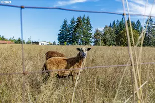 16370 Bell St, Sandy, OR 97055 - Photo 38