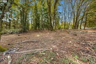 16370 Bell St, Sandy, OR 97055 - Photo 32