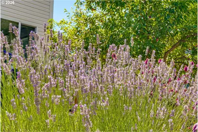 6028 SE Gladstone St, Portland, OR 97206 - Photo 46