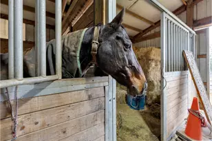 23754 S Bard Rd, Estacada, OR 97023 - Photo 26