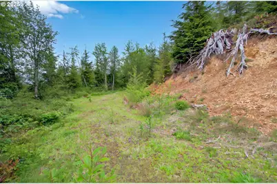 4 Parpala Rd #4, Naselle, WA 98638 - Photo 10