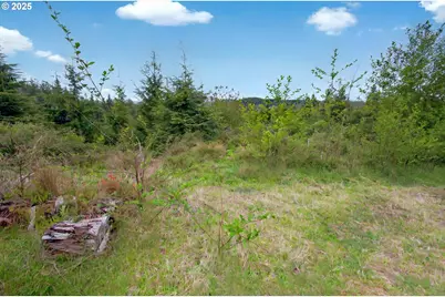 4 Parpala Rd #4, Naselle, WA 98638 - Photo 12