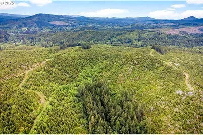 4 Parpala Rd #4, Naselle, WA 98638 - Photo 2