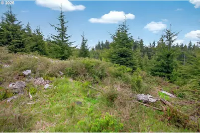 4 Parpala Rd #4, Naselle, WA 98638 - Photo 14