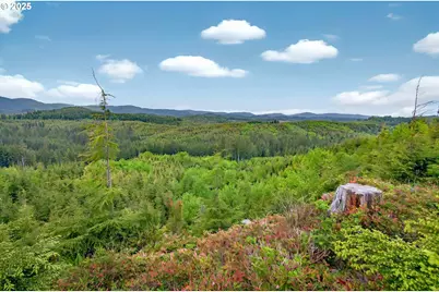 4 Parpala Rd #4, Naselle, WA 98638 - Photo 16