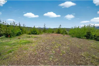 4 Parpala Rd #4, Naselle, WA 98638 - Photo 4