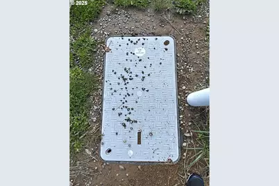 285 Ambler Rd, Ariel, WA 98603 - Photo 12