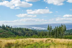 340 Anderson Dr, Kalama, WA 98625 - Photo 46