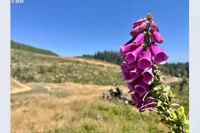 000 Fawn Ln #1202, Coos Bay, OR 97420 - Photo 30