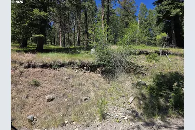 61290 Lake Shore Rd, Wallowa Lake, OR 97846 - Photo 2