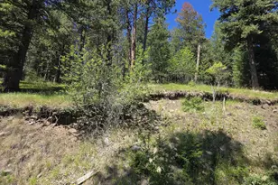 61290 Lake Shore Rd, Wallowa Lake, OR 97846 - Photo 1