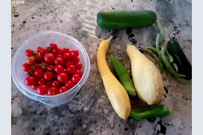 1950 Greenwood Ave, Reedsport, OR 97467 - Photo 24