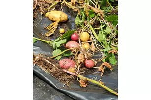 1950 Greenwood Ave, Reedsport, OR 97467 - Photo 30