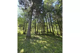 2505 Windy Creek Rd, Glendale, OR 97442 - Photo 18