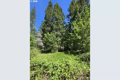 2505 Windy Creek Rd, Glendale, OR 97442 - Photo 22