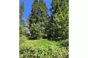 2505 Windy Creek Rd, Glendale, OR 97442 - Photo 22