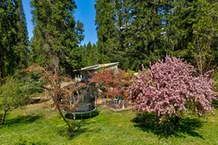 1293 Starveout Creek Rd, Azalea, OR 97410 - Photo 42