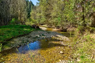 1293 Starveout Creek Rd, Azalea, OR 97410 - Photo 46