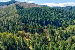 1293 Starveout Creek Rd, Azalea, OR 97410 - Photo 40