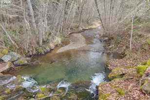 377 Fir Point Ln, Glendale, OR 97442 - Photo 44