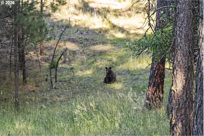 83584 Troy Rd, Wallowa, OR 97885 - Photo 22