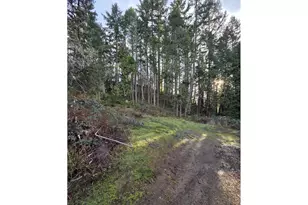 781 Pine Ridge Dr, Glide, OR 97443 - Photo 24