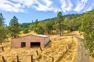 900 Mulberry Ln, Roseburg, OR 97471 - Photo 44