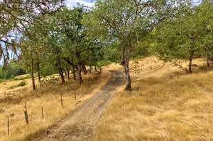 900 Mulberry Ln, Roseburg, OR 97471 - Photo 36