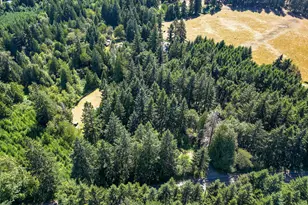 23775 S Beavercreek Rd, Beavercreek, OR 97004 - Photo 44