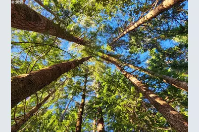 Orchard Rd Lot #3, Port Orford, OR 97465 - Photo 28