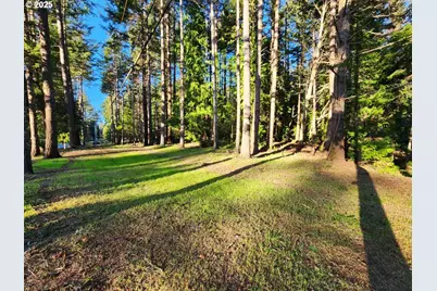 Orchard Rd Lot #3, Port Orford, OR 97465 - Photo 8