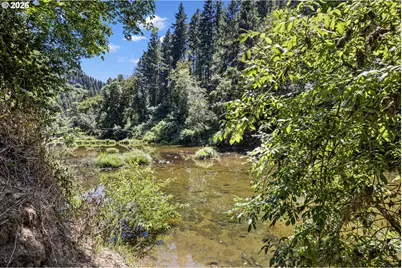 1462 Schad Rd, Elkton, OR 97436 - Photo 44