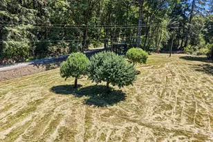 1462 Schad Rd, Elkton, OR 97436 - Photo 42