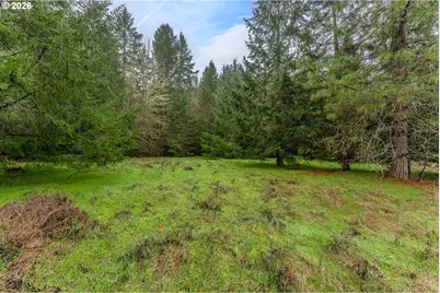 Upper Cow Creek Rd, Azalea, OR 97410 - Photo 12
