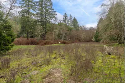 Upper Cow Creek Rd, Azalea, OR 97410 - Photo 20