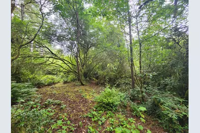 0 Sand Dune Park Dr #TL 800, Florence, OR 97439 - Photo 2